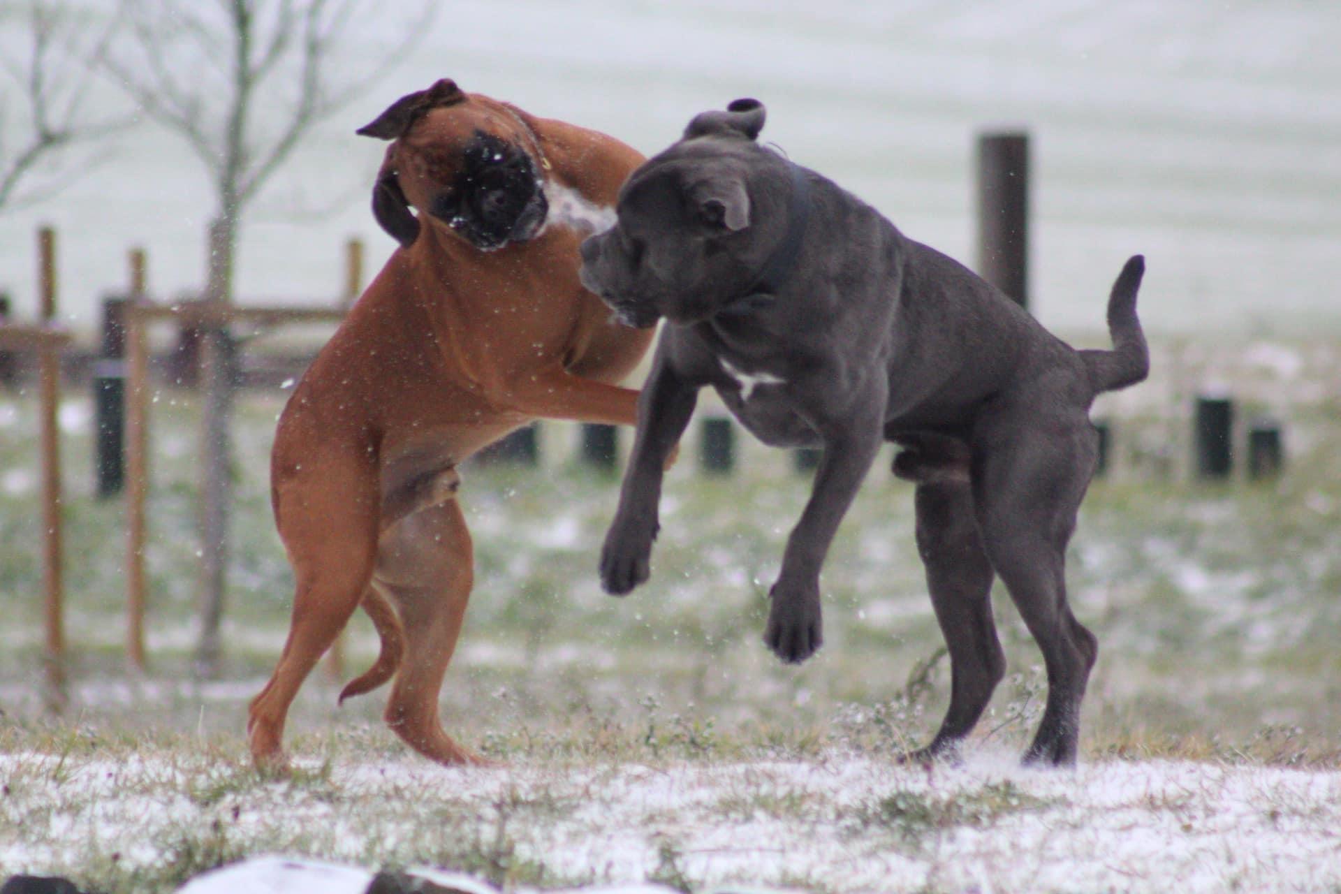 Balade collective - 1h30